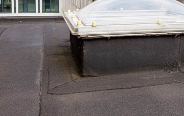 disadvantages of Dolbenmaen flat roofs