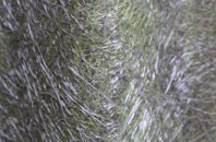 Dolbenmaen fibreglass roof work